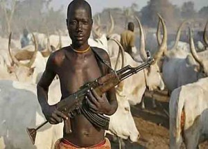 Fulani gunman