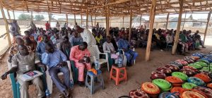 Crowd at distribution ceremony (Zuru)