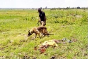 Police officer and dog with body of Simolya Latifu