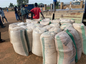 Sacks of grain for Mangu