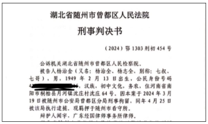 China Court Ruling